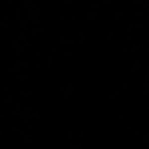 Meet your Posher, Oscar